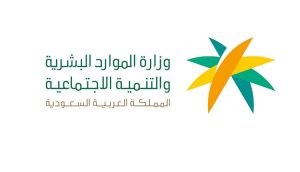 الموارد البشرية - التحقق المهني