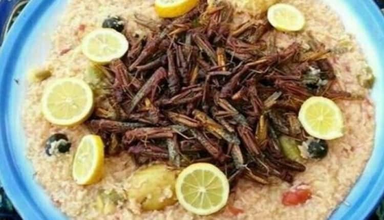 وجبة الجراد