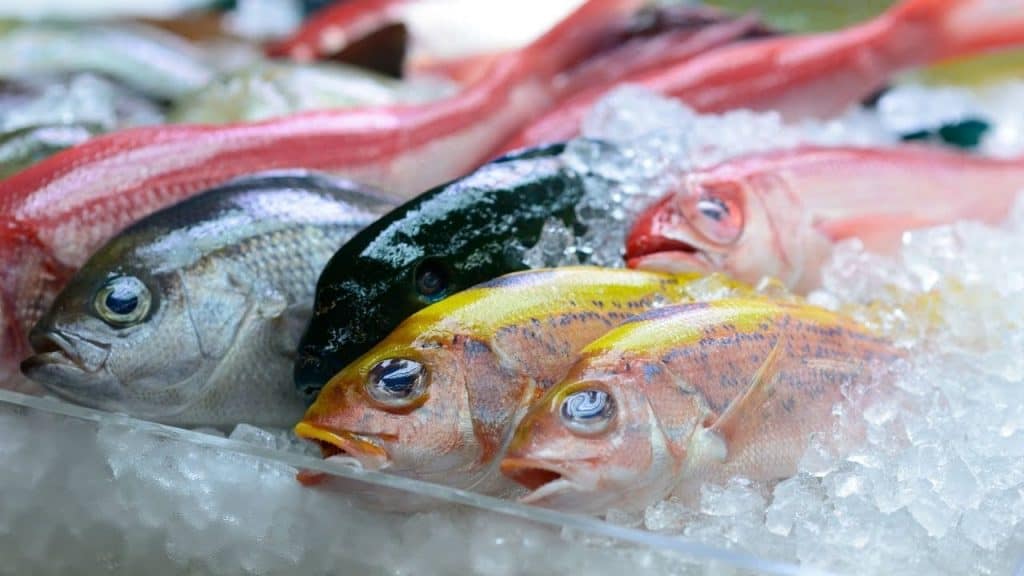 آسيا الأولى في إنتاج الأسماك البحرية