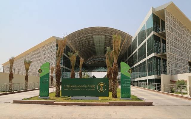 صندوق التنمية الوطني