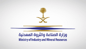 وزارة الصناعة والثروة المعدنية تطرح مزاد إلكتروني لتنمية المحتوى المحلي