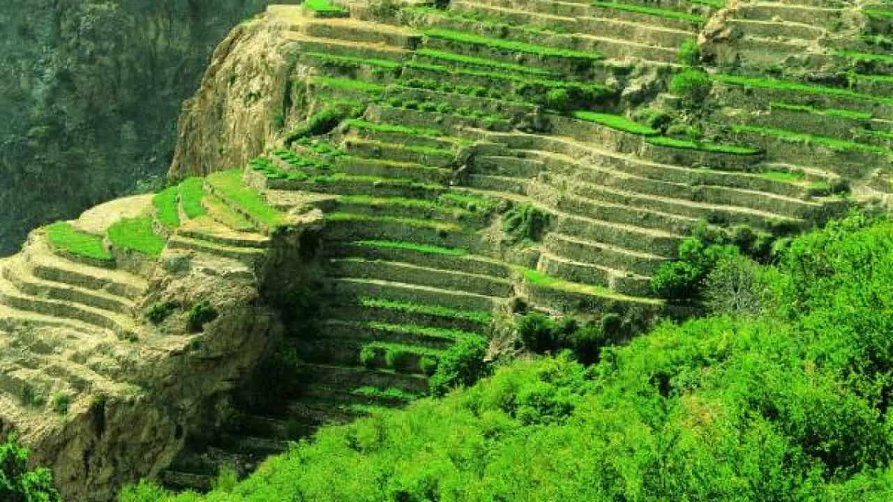 الجبل الأخضر في عمان