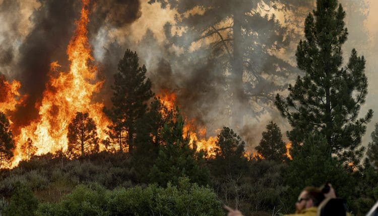 أكبر 4 كوارث طبيعية خلال 2021