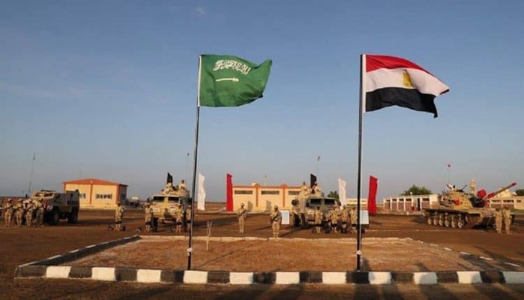 الاستثمارات السعودية المصرية