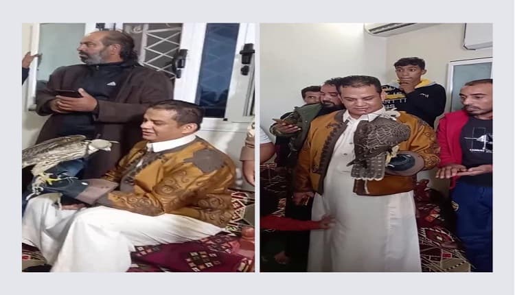 صفقة المليون دولار.. بيع أغلى صقر في العالم