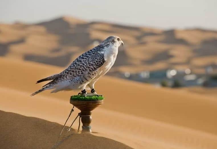 Sorry! Image not available at this time