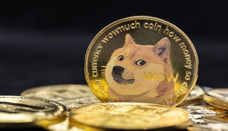 Dogecoin عملة رقمية صاعدة بسرعة الصاروخ