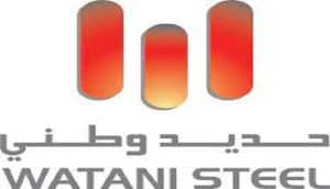 شركة حديد وطني