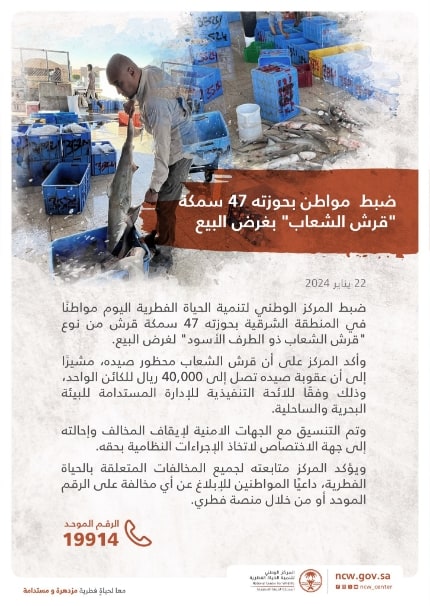 ضبط مواطن بحوزته 47 سمكة قرش من نوع "قرش الشعاب ذي الطرف الأسود" في المنطقة الشرقية