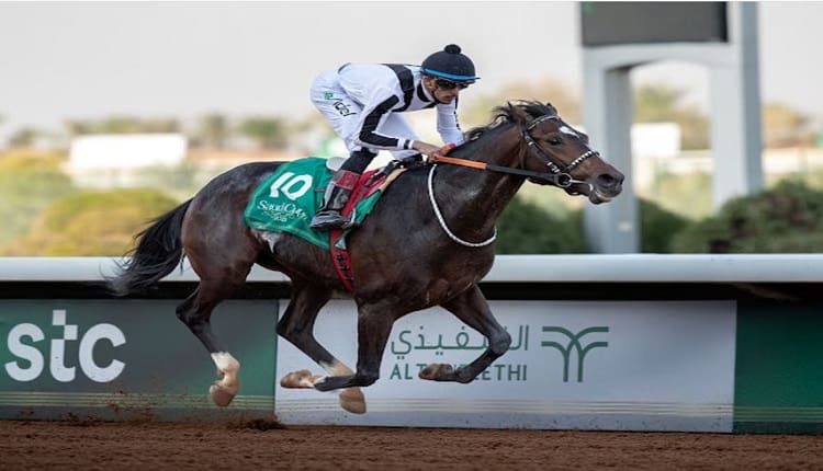 جوائز قيمة وحضور جماهيري كبير في ختام مهرجان كؤوس الملوك والأمراء