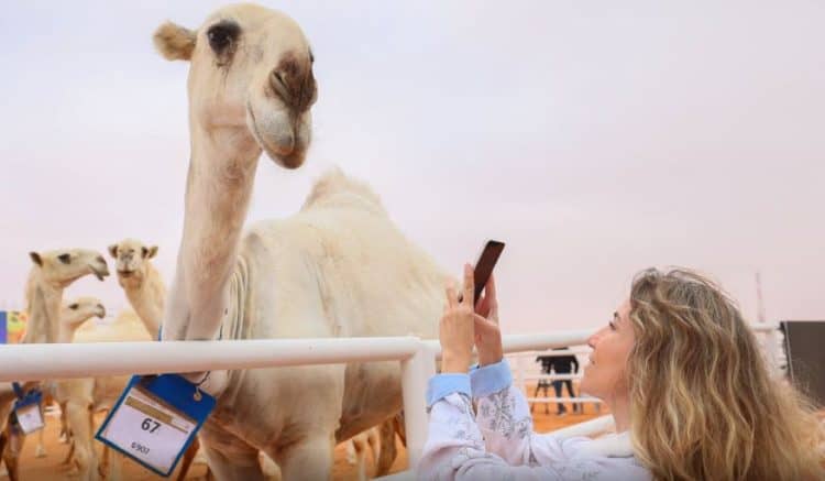 مهرجان الملك عبد العزيز للإبل