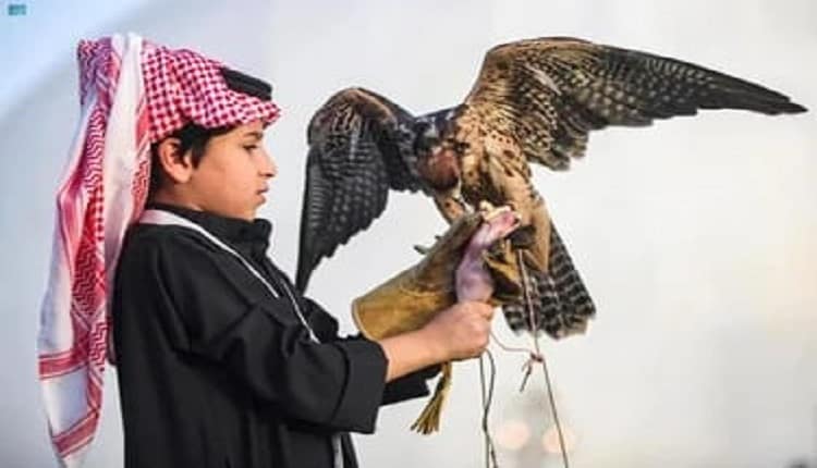 مهرجان الصقور ينطلق في طريف بمشاركة 1000 صقر