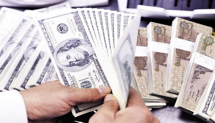 تحديات سعر الصرف تتطلب دعمًا حكوميًا للصادرات لتعزيز الاستقرار الاقتصادي