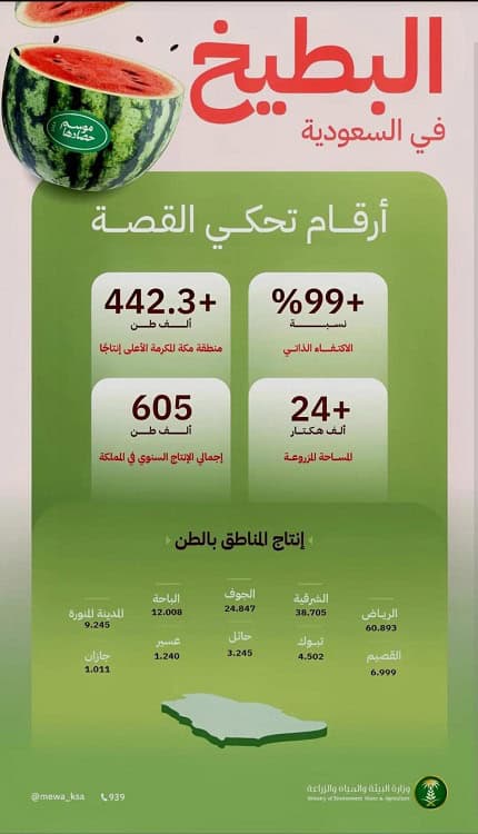 مكة المكرمة تتصدر إنتاج البطيخ في السعودية