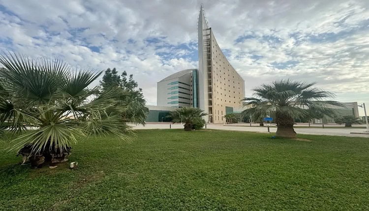 جامعة نجران