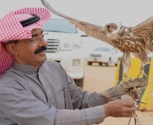 مهرجان الصقور بالقصيم
