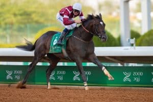 صورة حصرية التقطتها كاميرا سواحل الجزيرة الإعلامية: حفل "سباق الخيل على كأس السعودية" – الاقتصاد اليوم