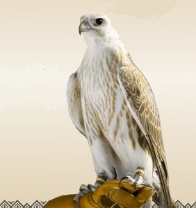 مهرجان الصقور بالقصيم