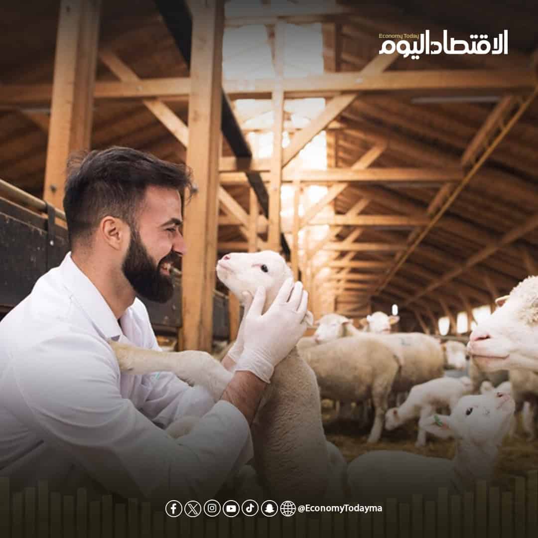 «إنسان» تطلق مشروع الأضاحي لدعم 3000 أسرة في الرياض