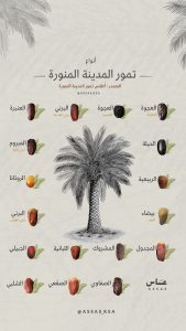 قطاع التمور في المدينة المنورة