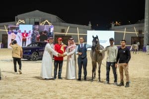 خيل الجزيرة 2025