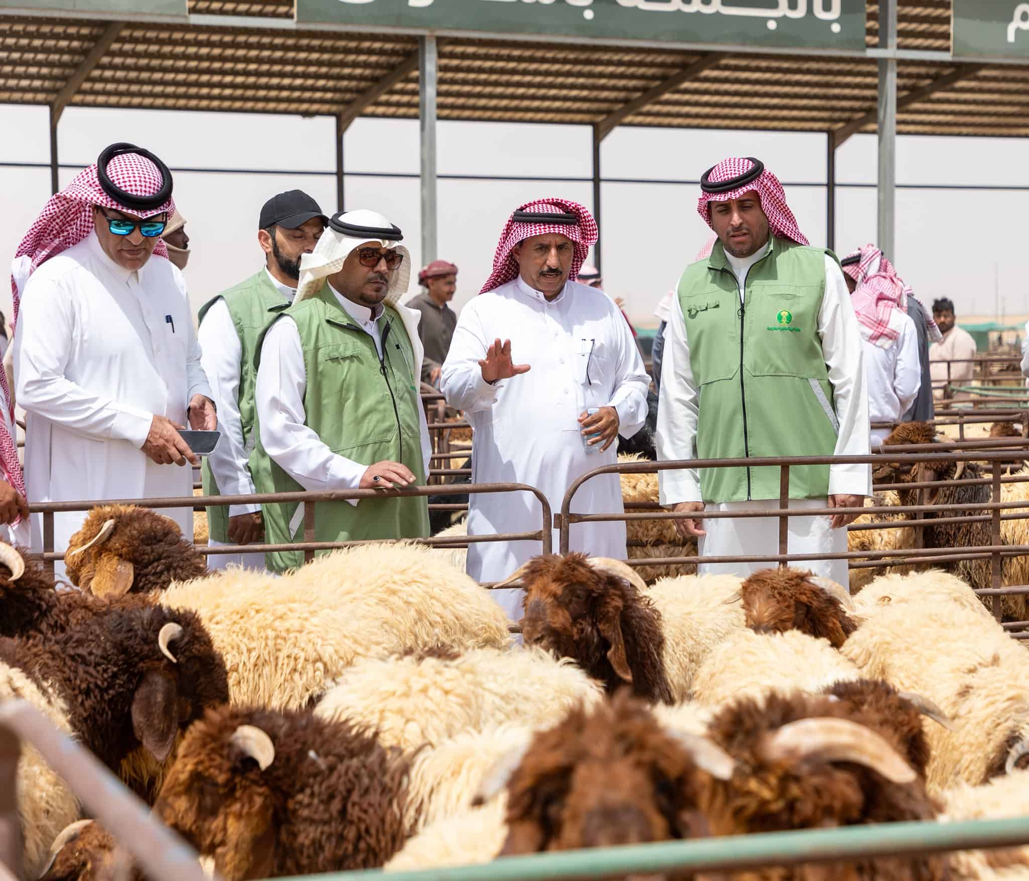 برنامج أضحيتي