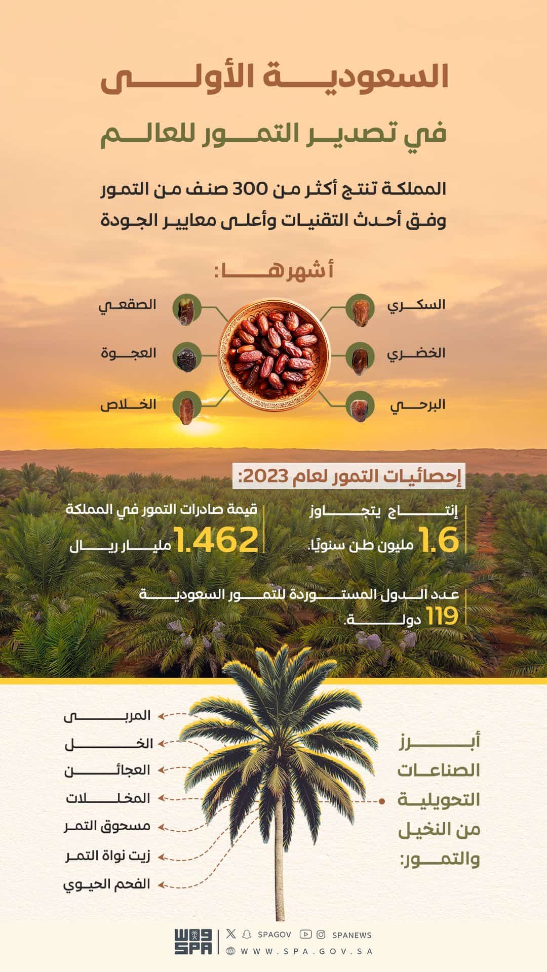 قطاع التمور في المملكة