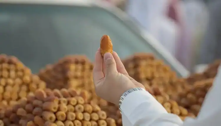 إنتاج التمور في المملكة