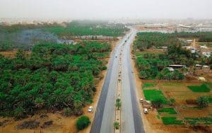 الزراعة في المملكة.. تبوك