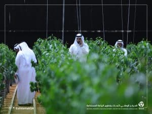 منطقة نجران