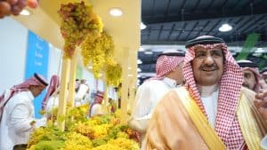 مهرجان العنب بالمدينة المنورة