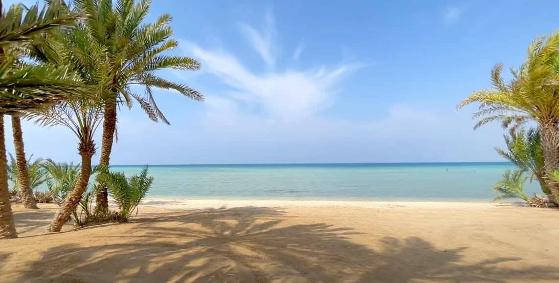 شواطئ أملج.. لؤلؤة البحر الأحمر تجذب عشاق السياحة | الاقتصاد اليوم