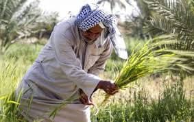 العراق