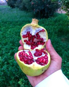 رمان عسير