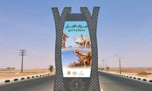 مزاد مدرج للإبل