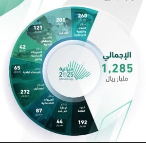 ميزانية المملكة 2025. ورؤية 2030