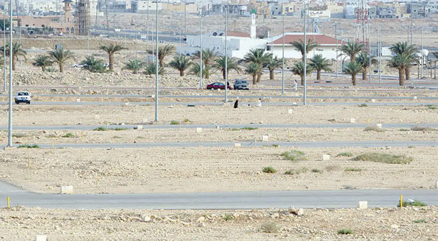 رسوم الأراضي البيضاء