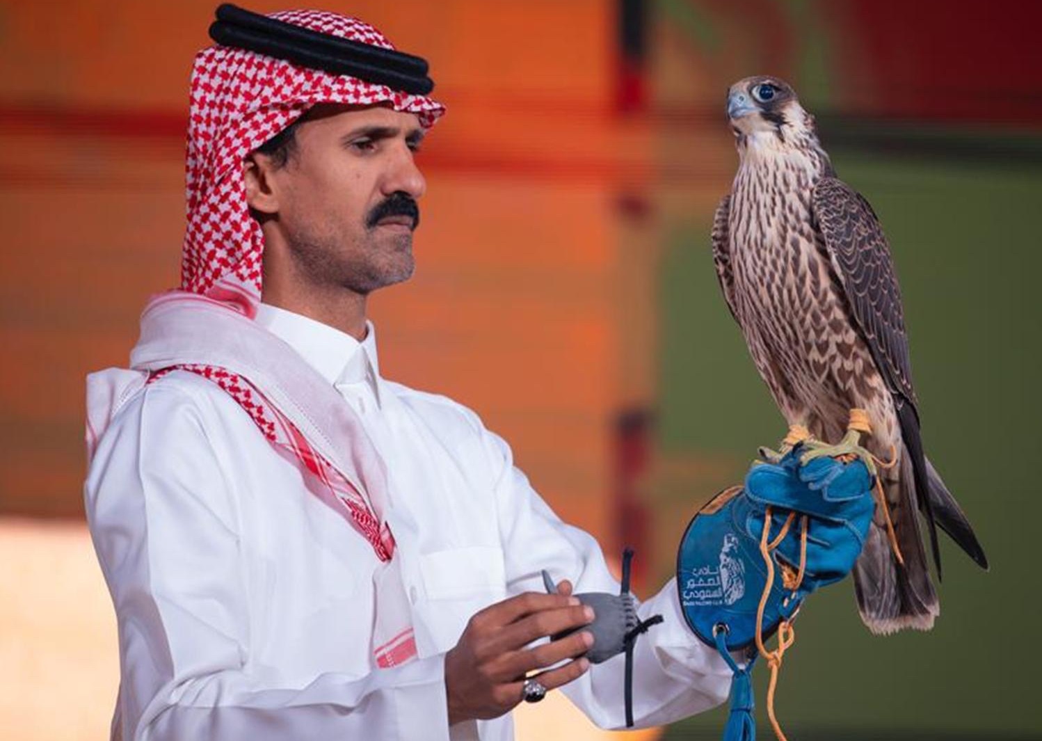 Sorry! Image not available at this time