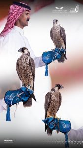 بيع 3 صقور بـ (399) ألف ريال