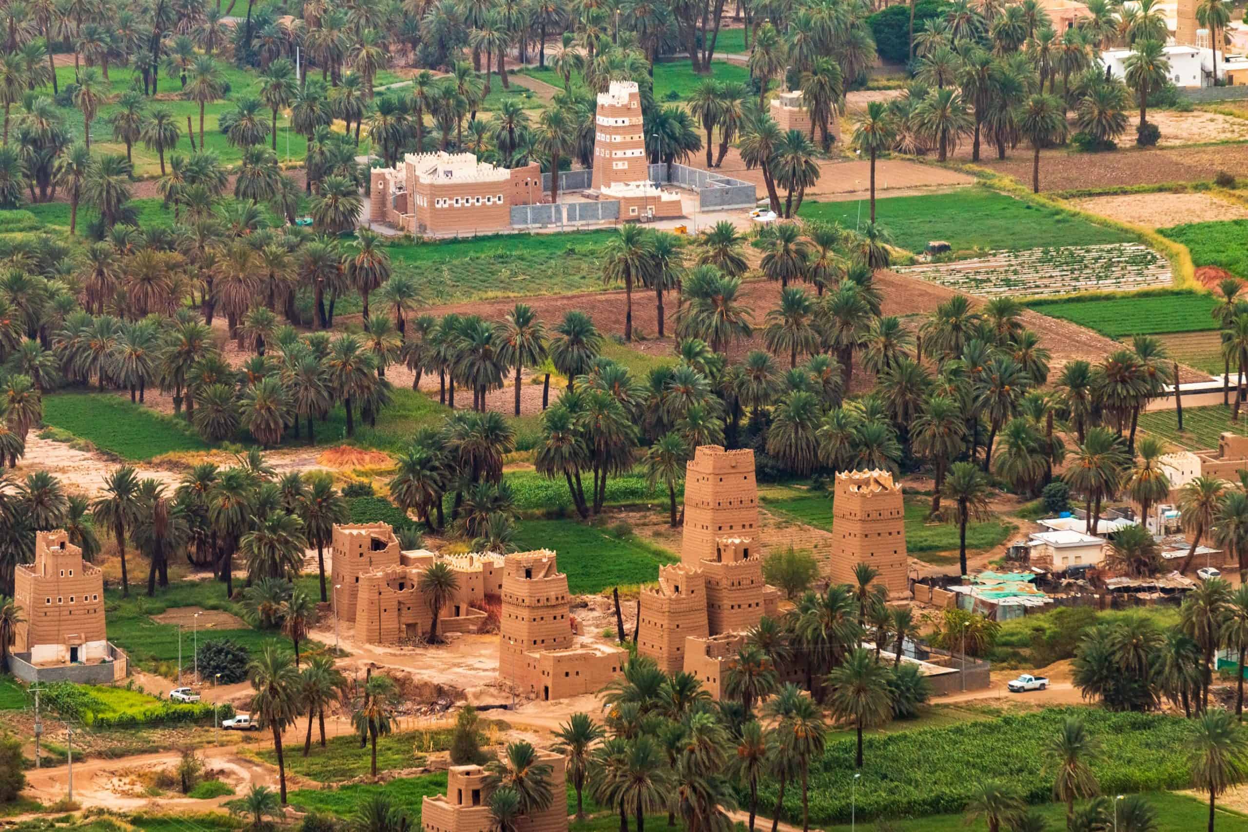 النحالون يجنون عسل أزهار السدر من شعاب وأودية منطقة نجران