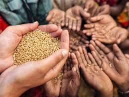 إحصاءات الأمن الغذائي