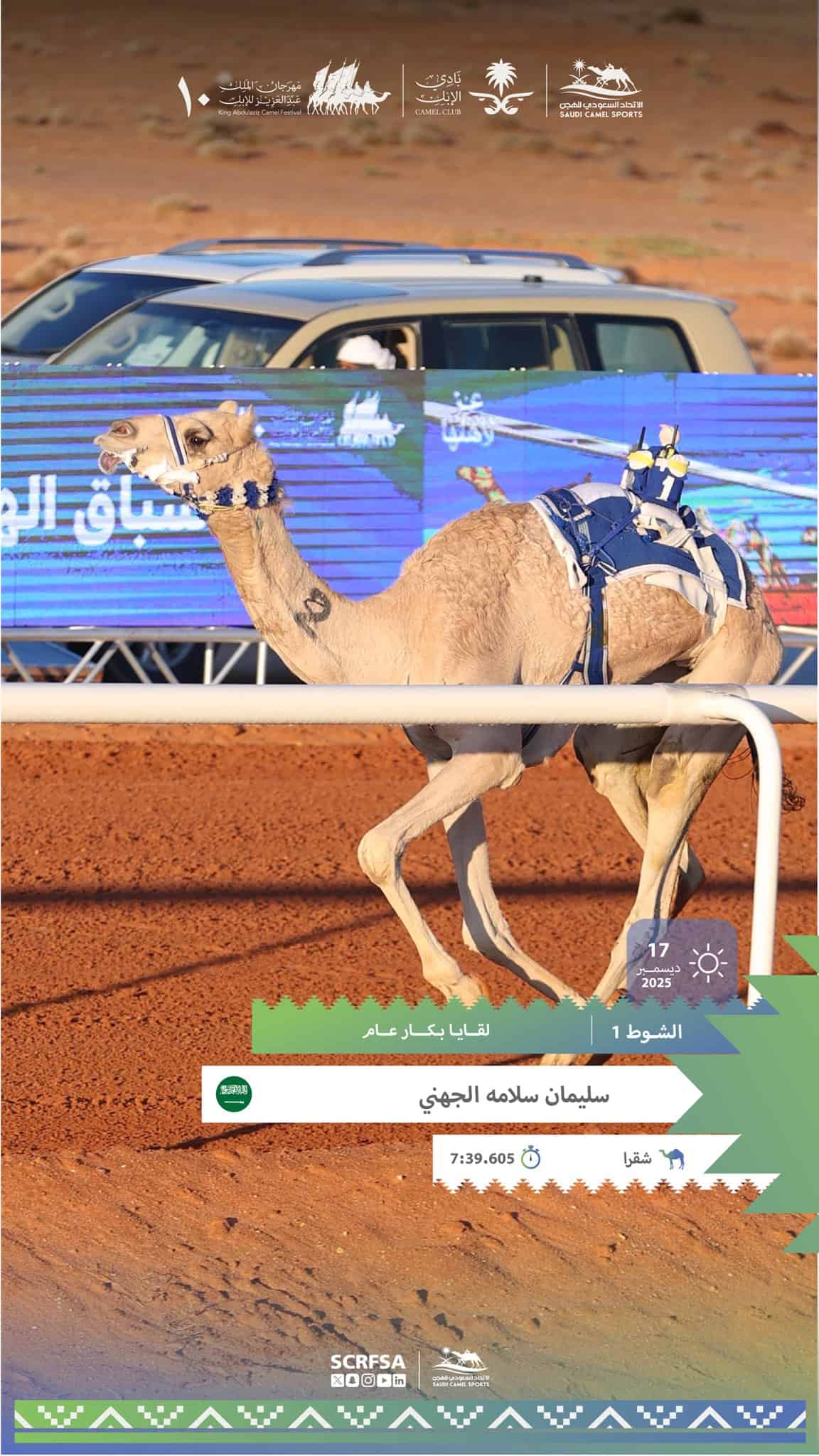سباقات الهجن