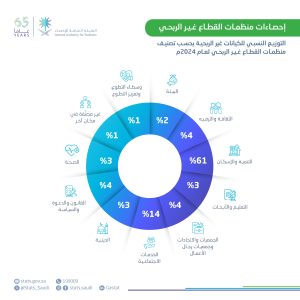 القطاع غير الربحي