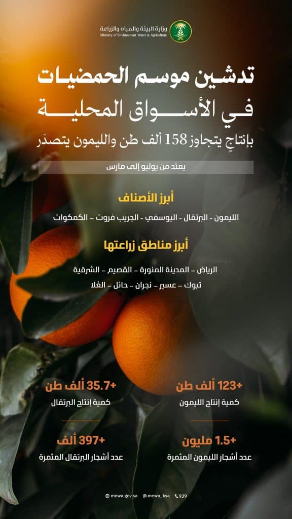 موسم الحمضيات السعودي