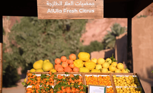 الحمضيات