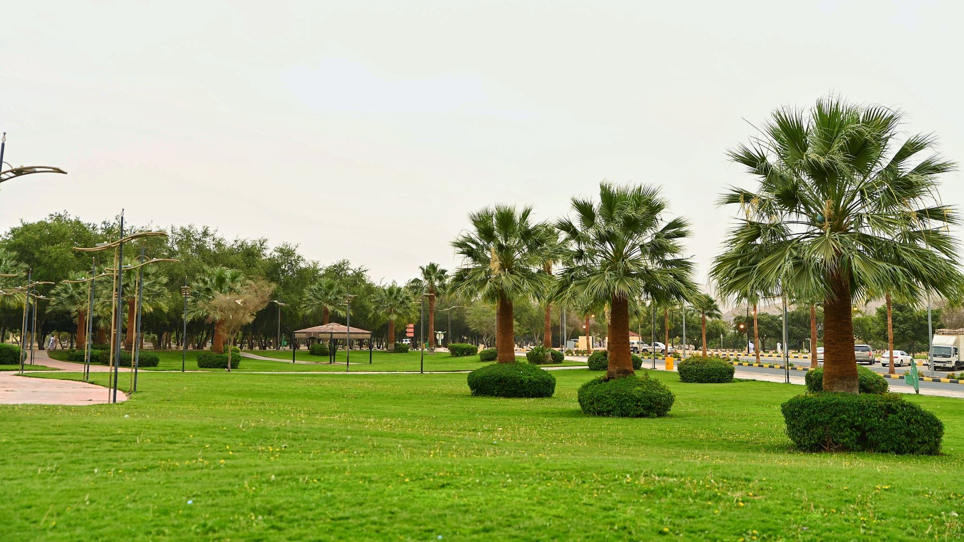 الزراعة في نجران.. تجارب حديثة تعزز تنوّع المحاصيل واستدامتها