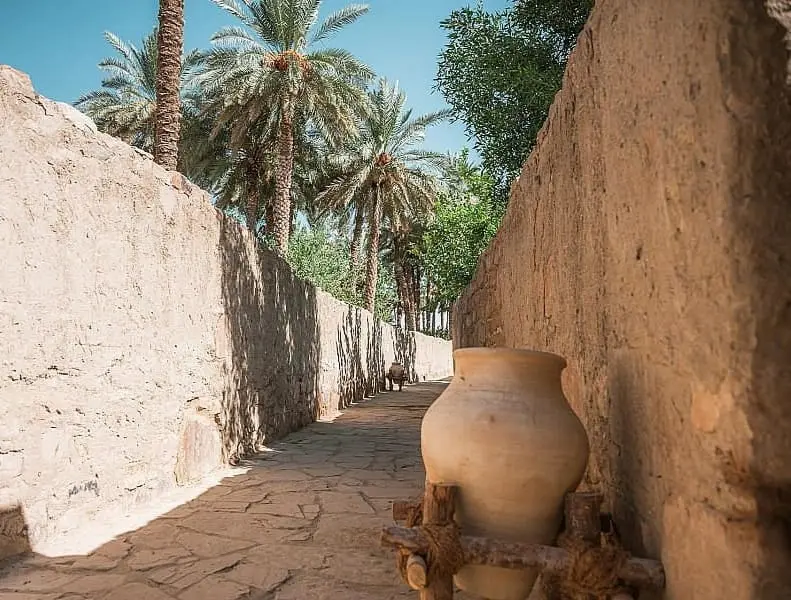 قفزة قياسية.. السجل الوطني للآثار السعودي يقترب من 13 ألف موقع