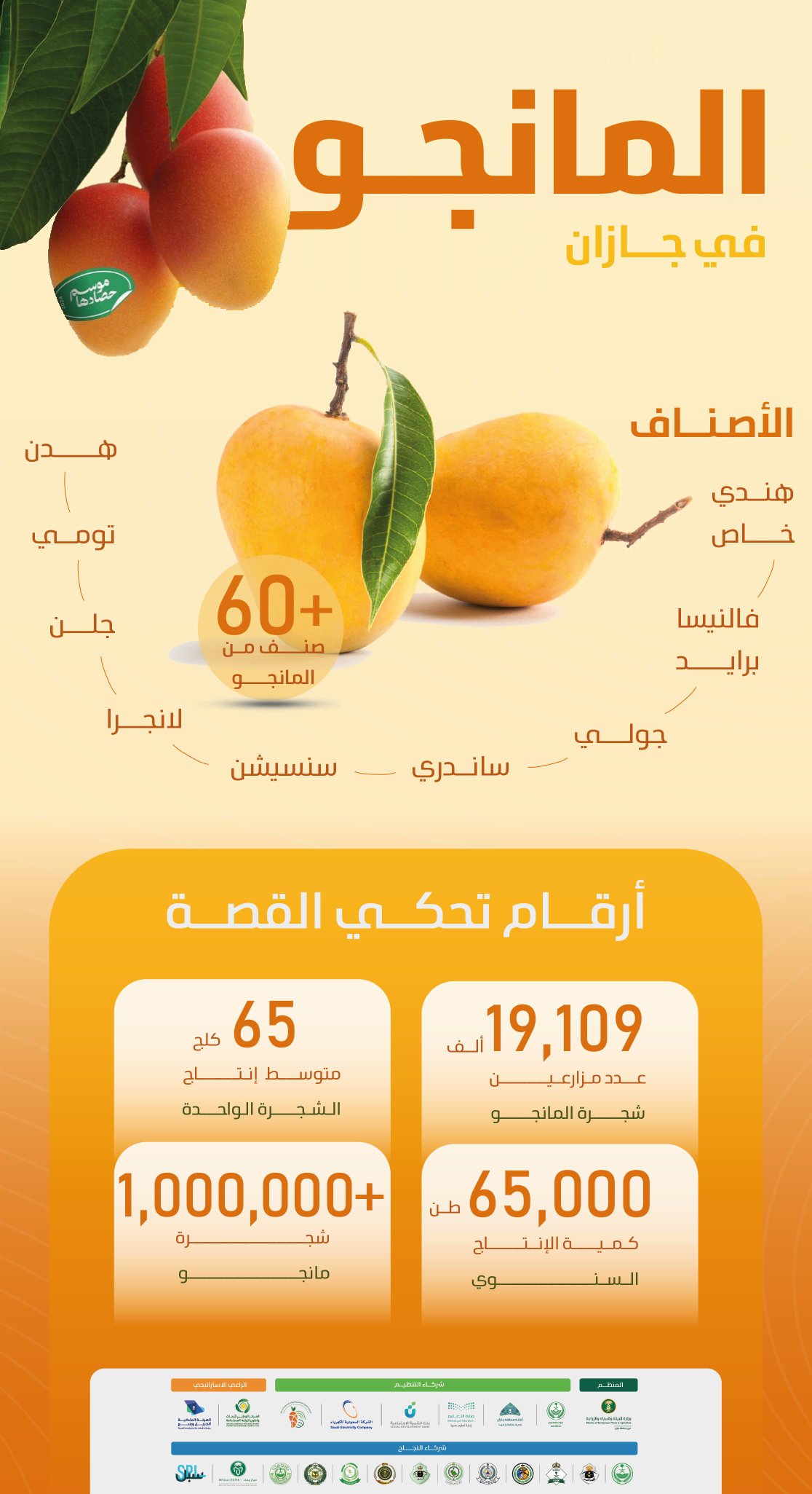 مهرجان المانجو في جازان