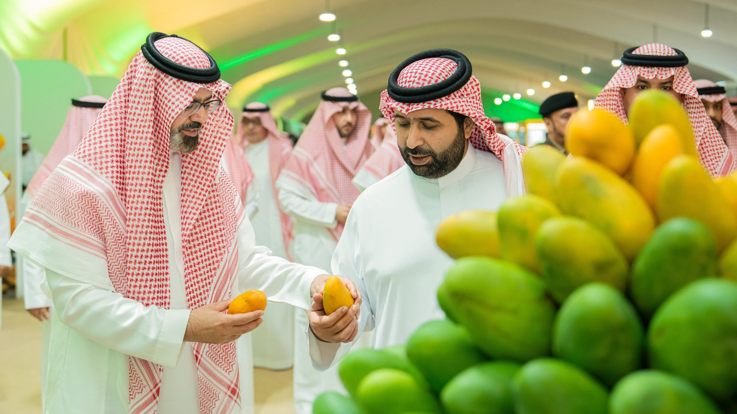 من المزرعة إلى المستهلك.. متاجر رقمية تقود طفرة تسويق مانجو جازان في 2026