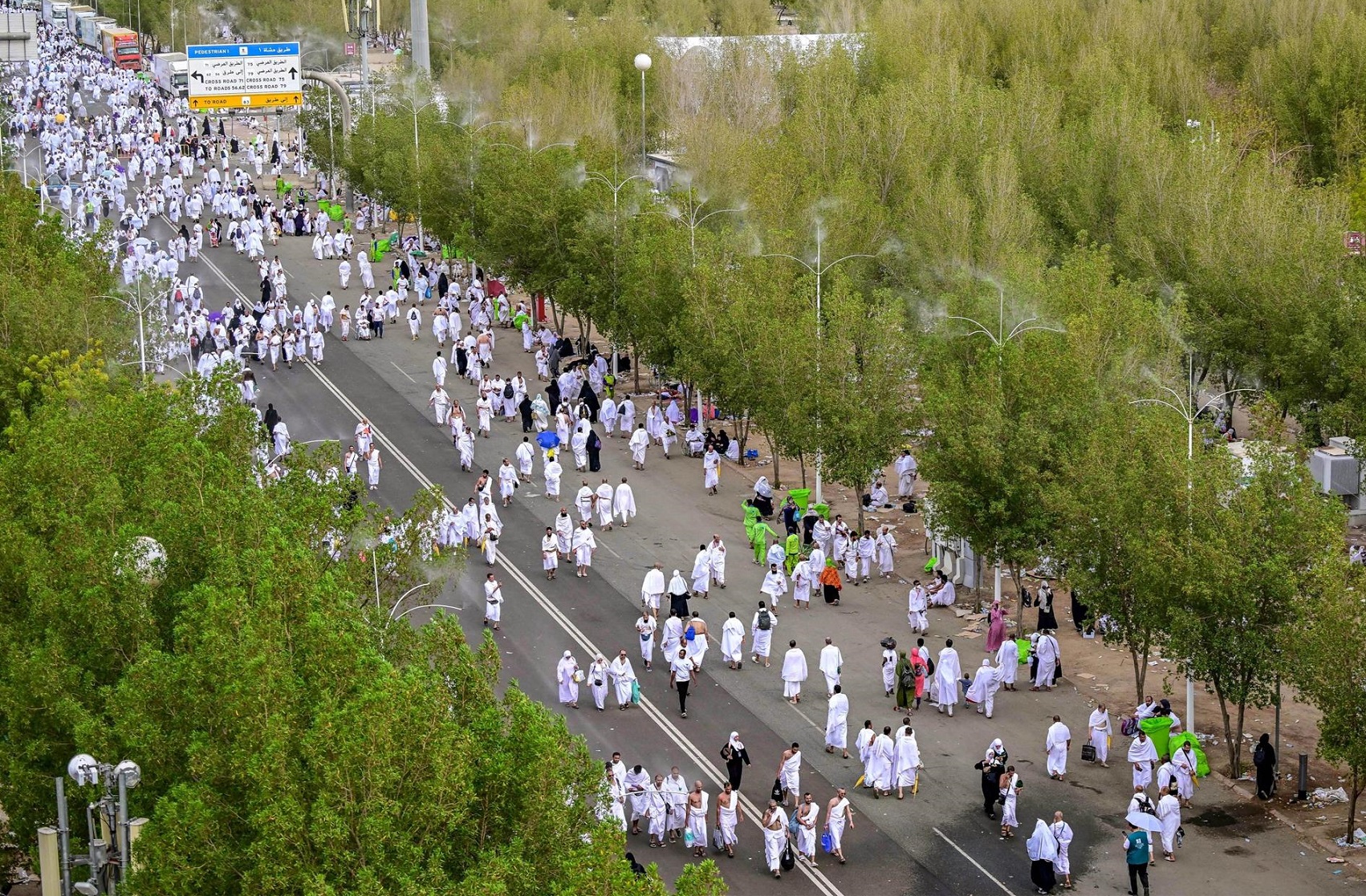 المملكة تضاعف عدد الأشجار بالمشاعر المقدسة استعدادًا لموسم الحج